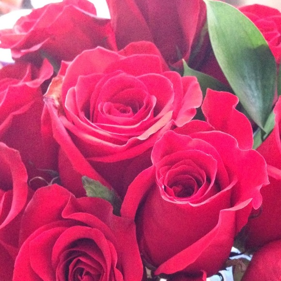 Meet your Posher, Julie - Picture 1 of 1